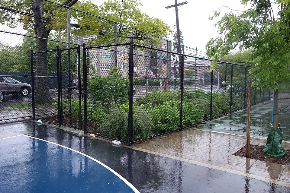 A planted rain garden beside pavement collects water during wet weather, showing the basic function of a bioswale.