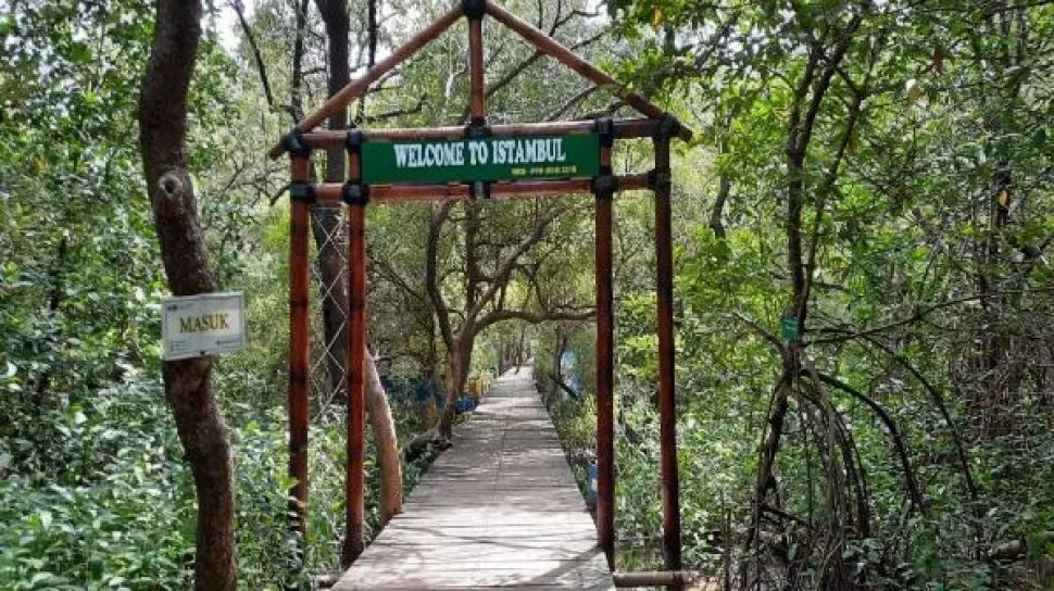 A wooden walkway passes through mangrove forest in Demak, Central Java.